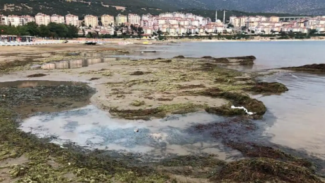 Çevre ve Şehircilik Müdürlüğü'nden Eğirdir Gölü Açıklaması