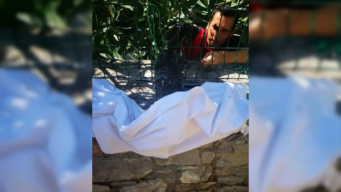 Fethiye'de Bahçe Telinde Sıkışan Kedi Kurtarıldı