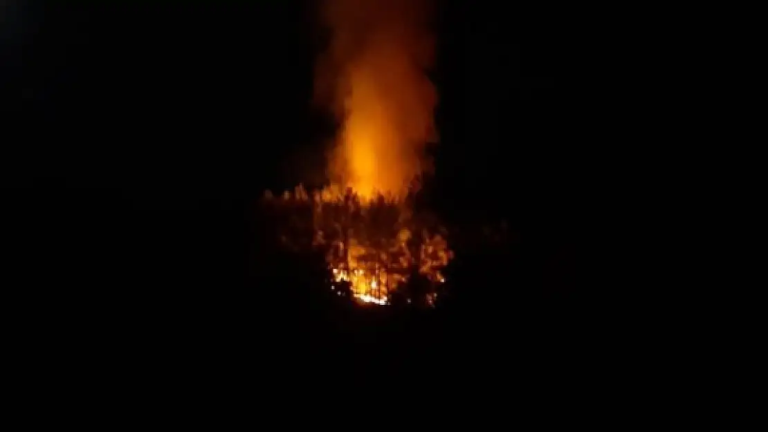 Fethiye'de Çıkan Orman Yangını Söndürüldü