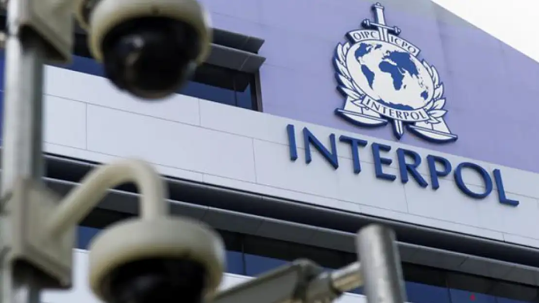 Interpol'den Yasa Dışı Kumar Operasyonu: 8 Milyon Dolar Nakit Ele Geçirildi