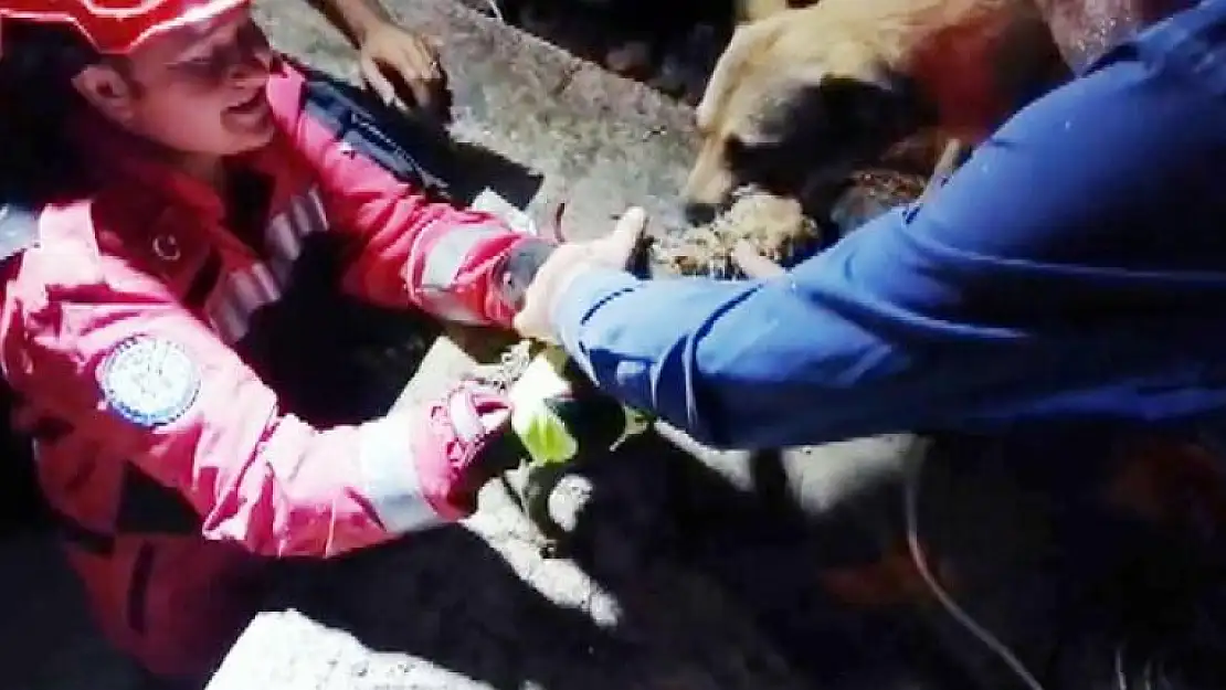 Kavaklıdere'de Sulama Kanalına Düşen Köpek Yavrusundan Mutlu Haber!