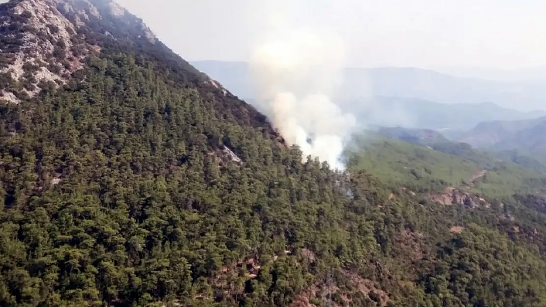 Marmaris'te Çıkan Orman Yangını Kontrol Altına Alındı