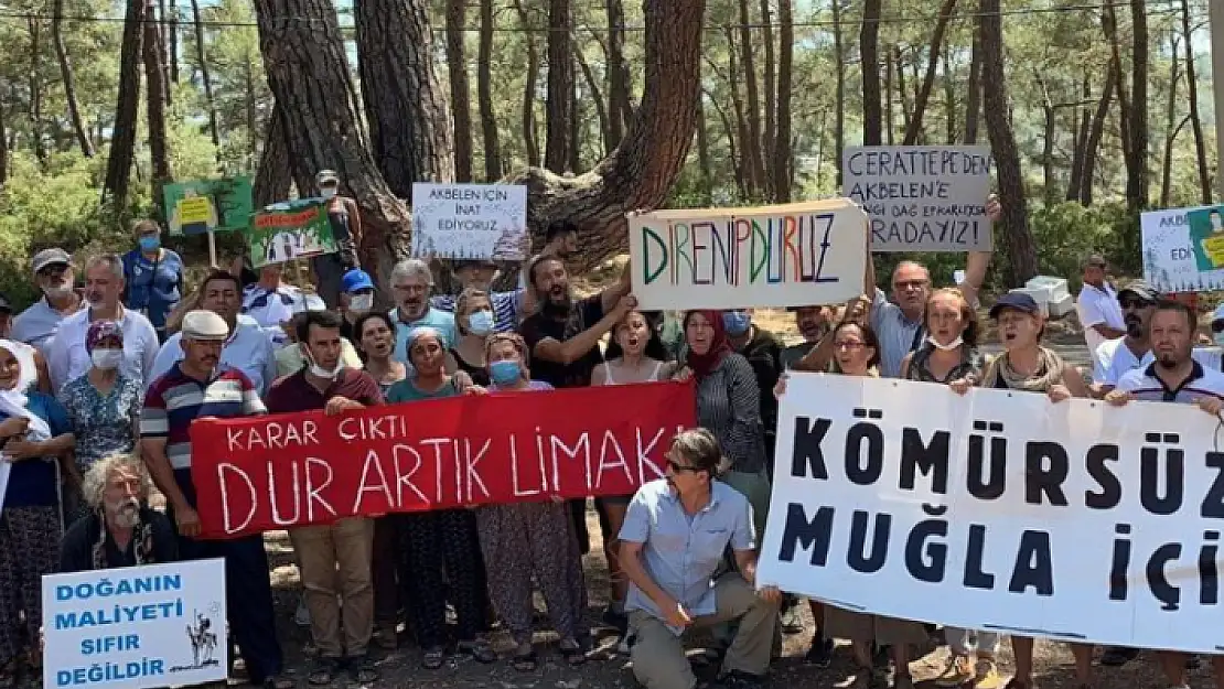 Milas'taki Akbelen Ormanları'nda Eylemcilerin Mücadelesi Sürüyor