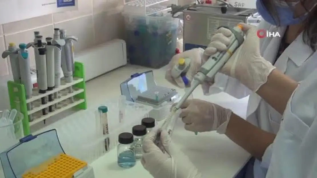 MSKÜ'de, Covid-19 Test Kiti Çalışmasında Bir İlk: 20 Dakikada Sonuç Verecek