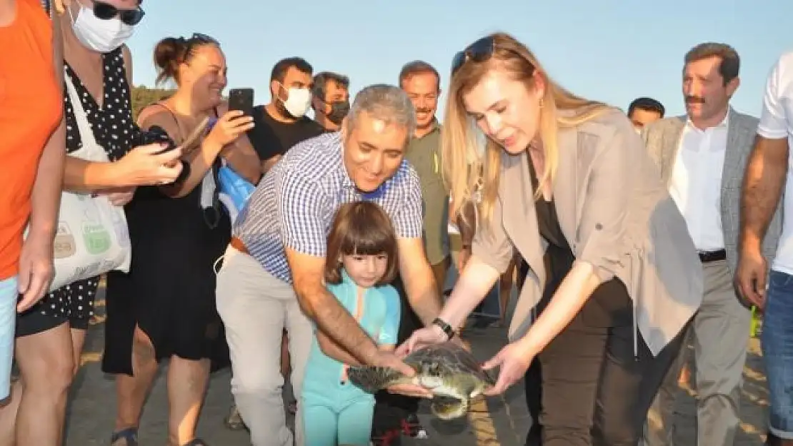 Ortaca'da Uydu Takip Cihazı Takılan 3 Caretta Caretta Denize Salındı