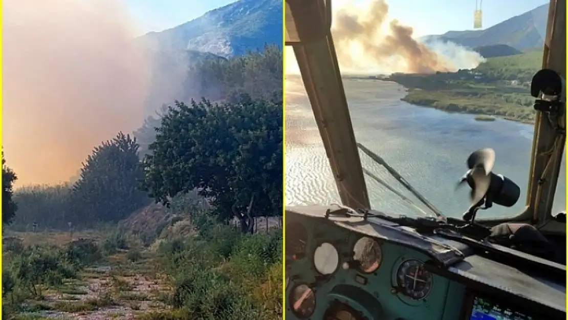 Söke'de Çıkan Orman Yangınına Havadan Müdahale Ediliyor