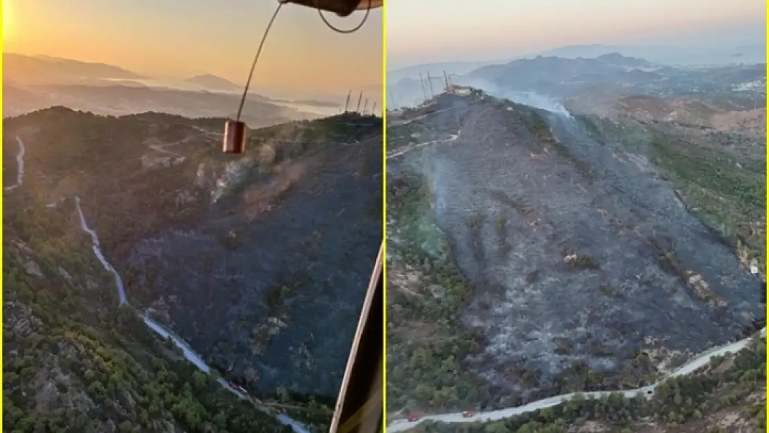 Bodrum'da Çıkan Yangında 5 Hektar Makilik Alan Zarar Gördü