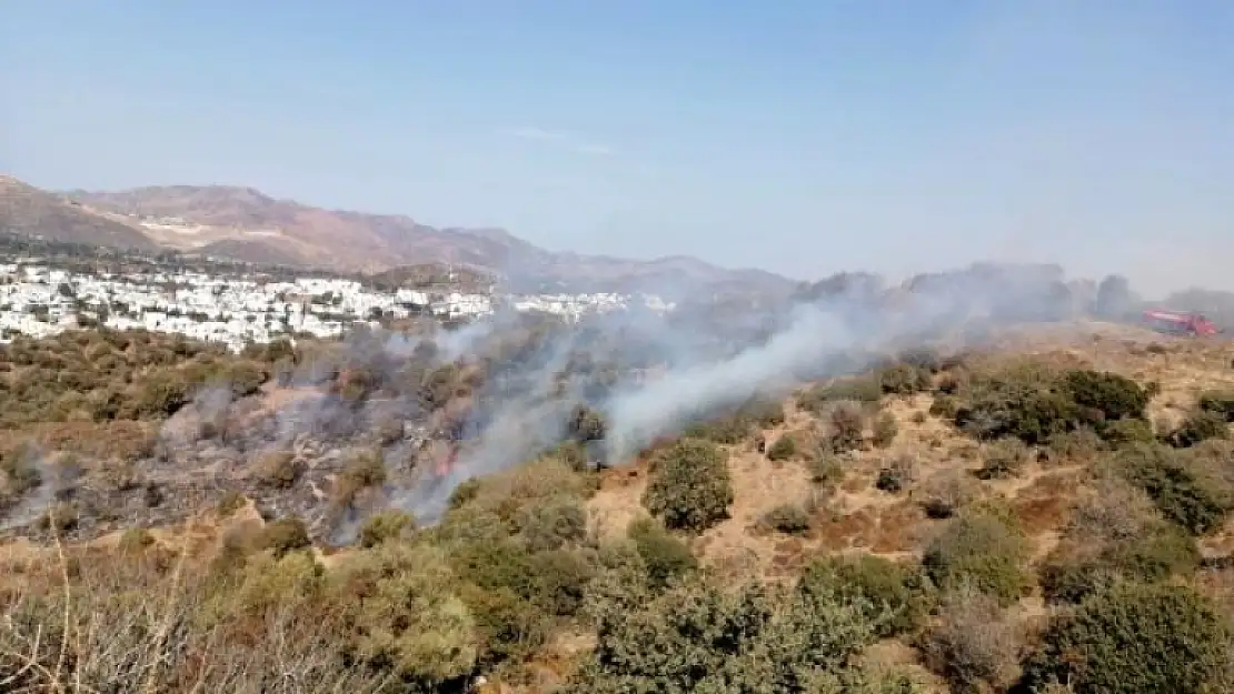 Bodrum'da Yangın Çıktı!