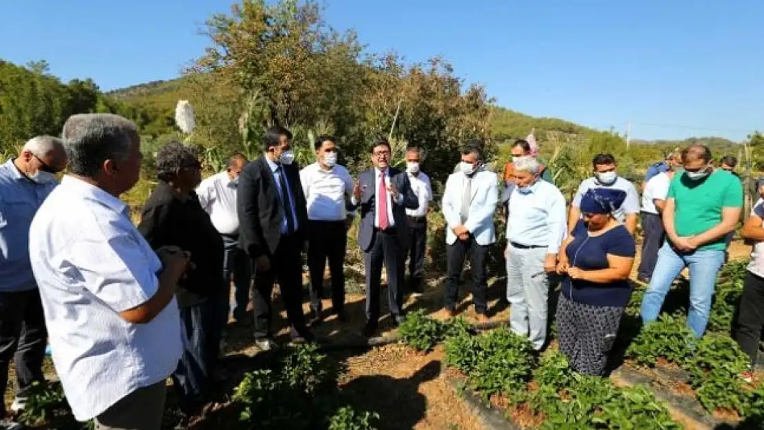 Dalaman'da Kışlık Sebze Tarla Günü