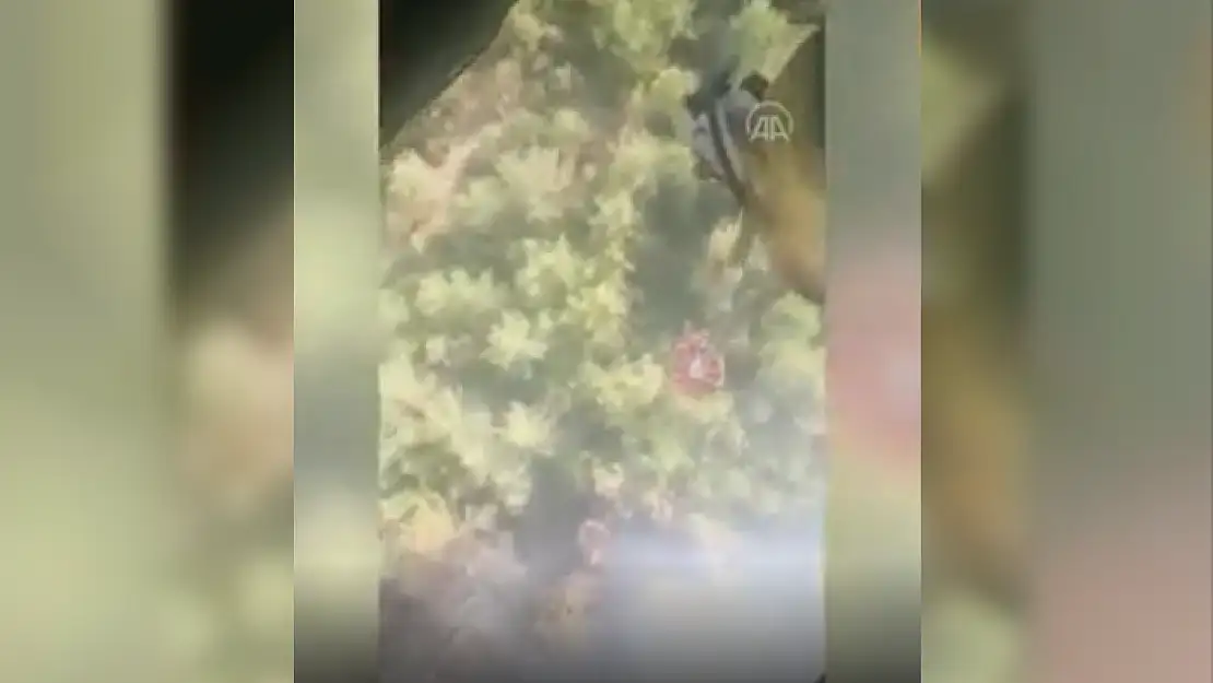 Menteşe'de Çıkan Orman Yangınına Müdahale Ediliyor