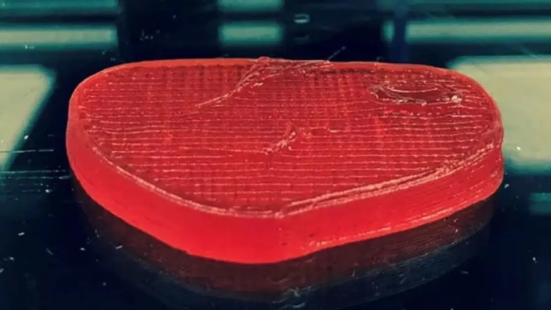 3D Yazıcıdan Kırmızı Etin Muadilini Ürettiler