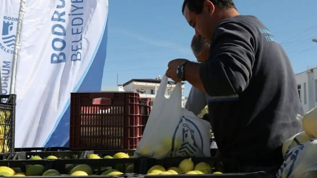 Bodrum Belediyesi, Limonları Satın Alıp Halka Dağıtıyor