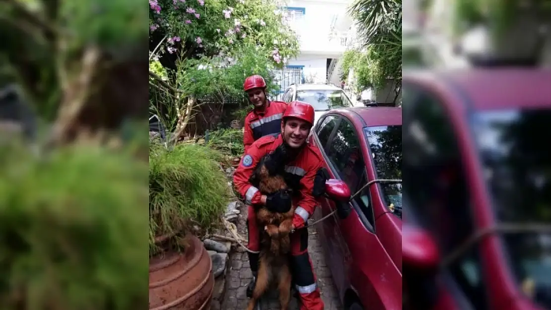 Bodrum'da Kuyuya Düşen Köpeği İtfaiye Kurtardı