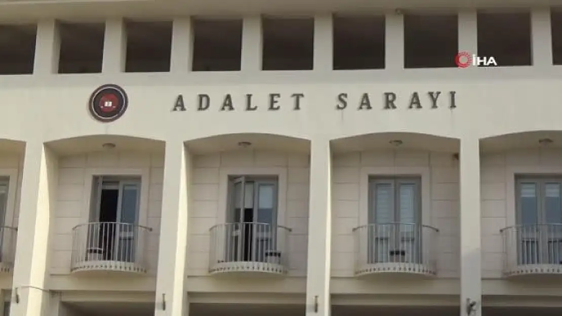 Bodrum'daki Kedi Ölümlerine İlişkin Suç Duyurusu