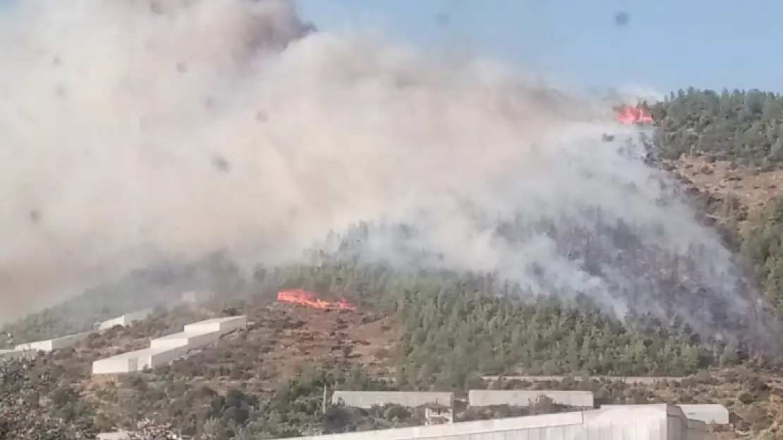Mersin'de Orman Yangını!