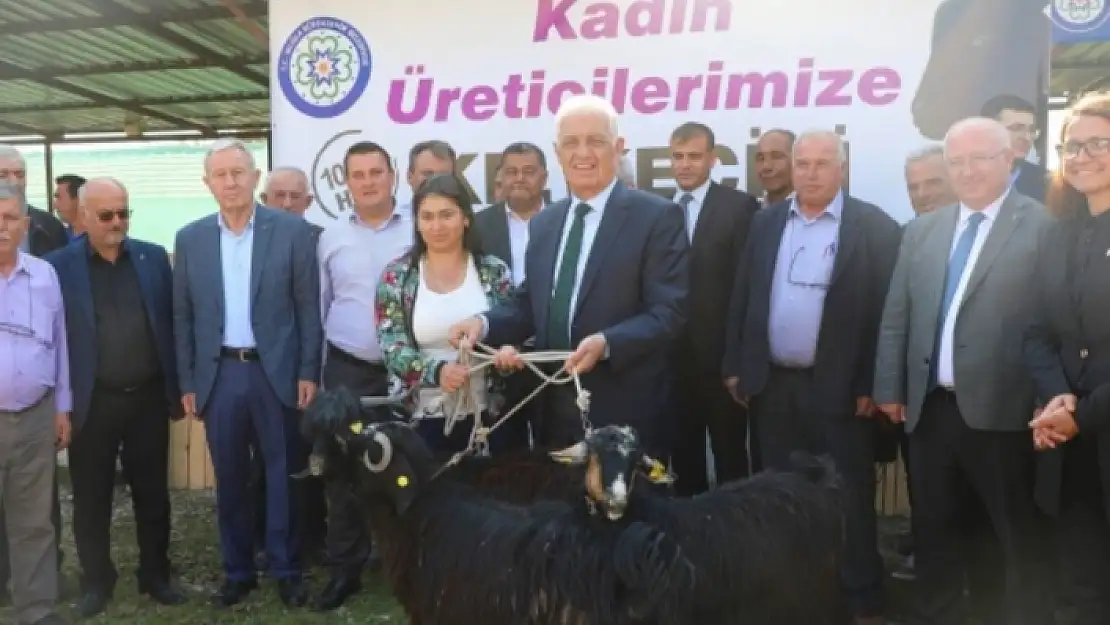 Muğla Büyükşehir Belediyesi'nden Kadın Üreticiye Destek