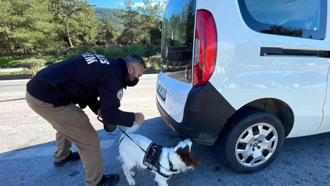 Bodrum'da Denetimler İki Katına Çıktı
