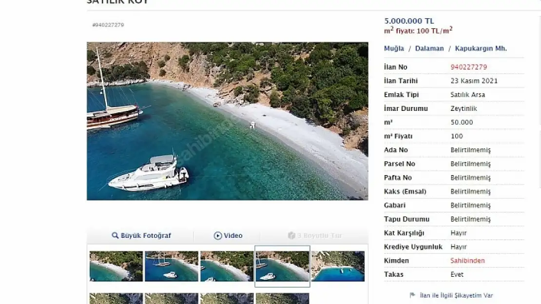 DALAMAN'DA BİR ŞAHIS, 1. DERECE DEVLET ORMANI VE KOYU SATIŞA ÇIKARDI