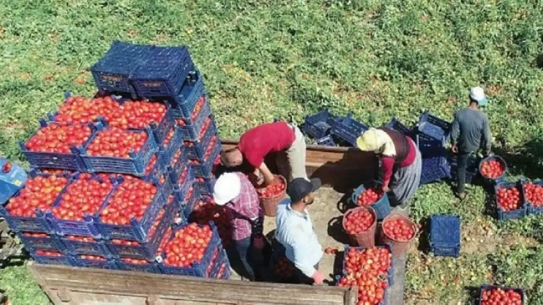 Fethiyeli Üreticilerden Maliyet Tepkisi