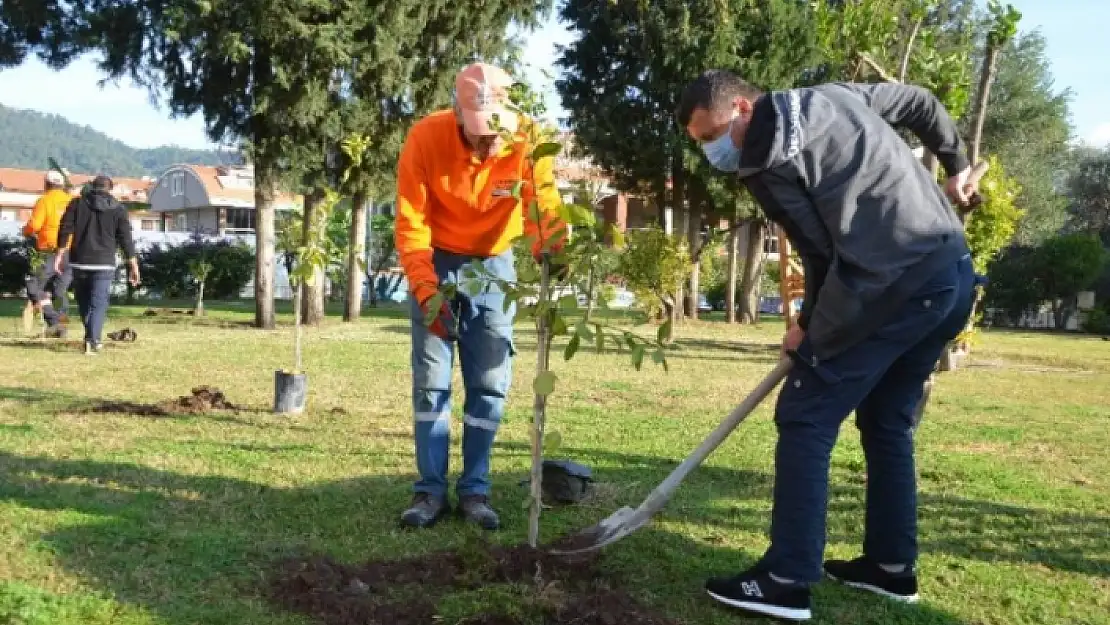 Marmaris Belediyesi, 2021'de Toplam Yeşil Alan Miktarını 600 Bin 227 Metrekareye Çıkardı