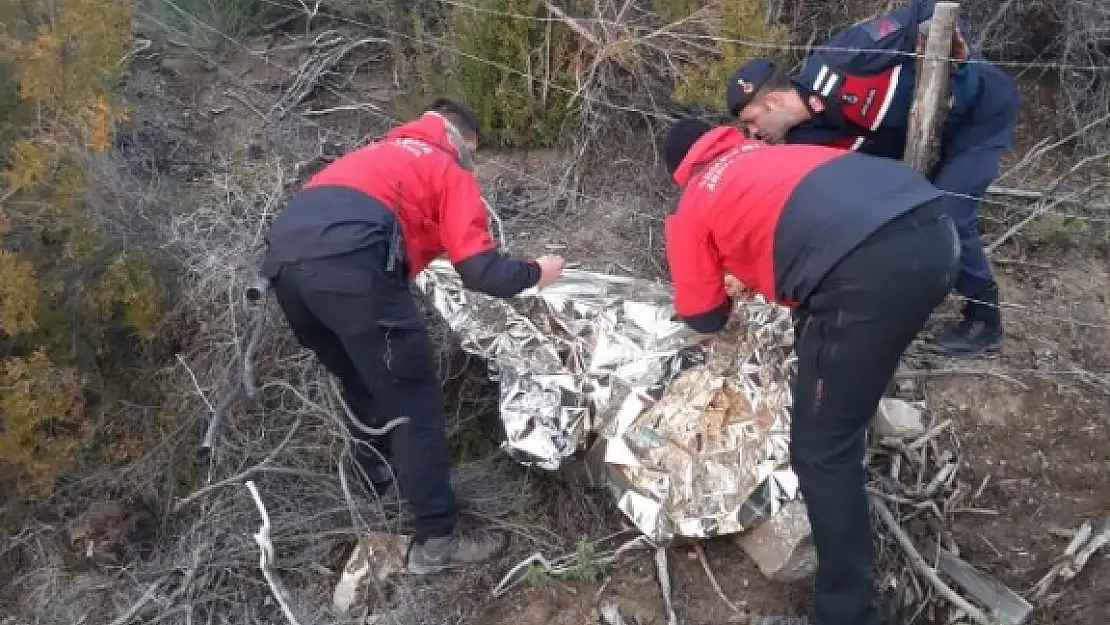 Seydikemer'de Kaybolan 82 Yaşındaki Adam Ormanda Ölü Bulundu