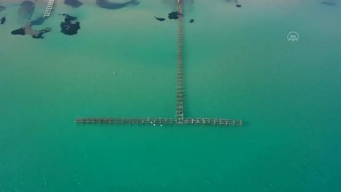 Bodrum'da Denizciler Elli Yıldır Kullanılan İskelenin Yıkılmasını İstemiyor
