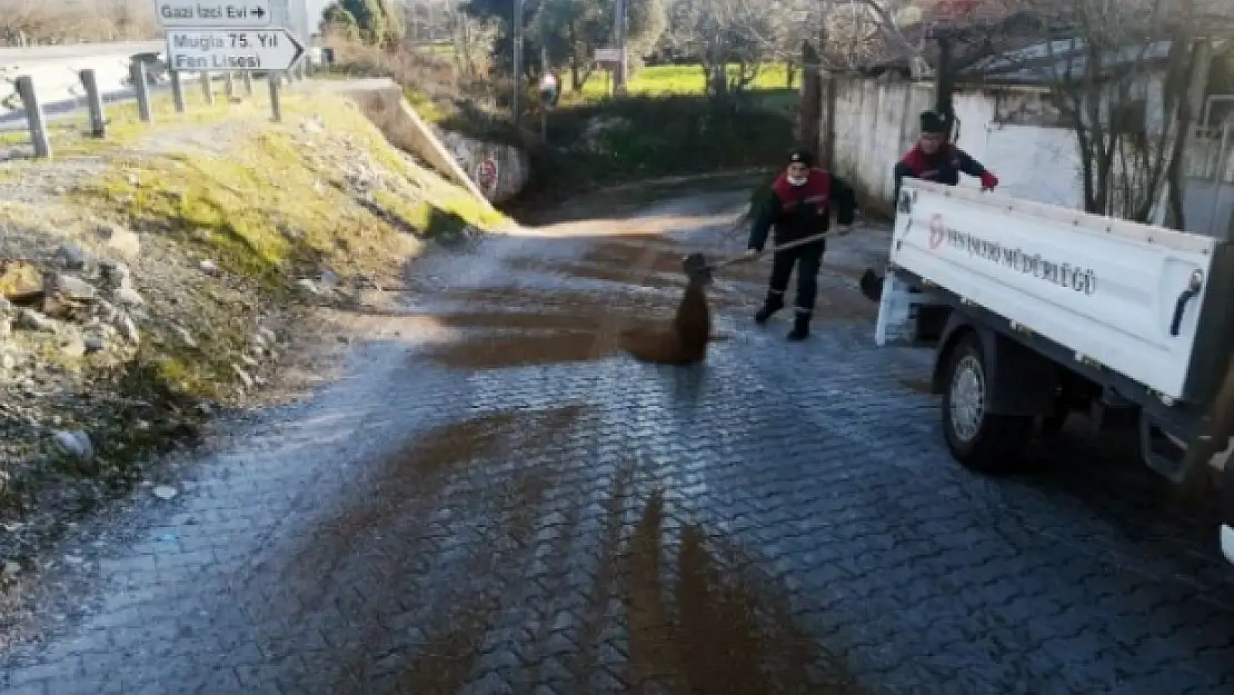 Menteşe'de Buzlanmaya Karşı Tuzlama Çalışması