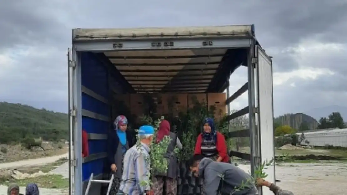 Muğla ve Manisa'dan Azerbaycan'a İhracat!
