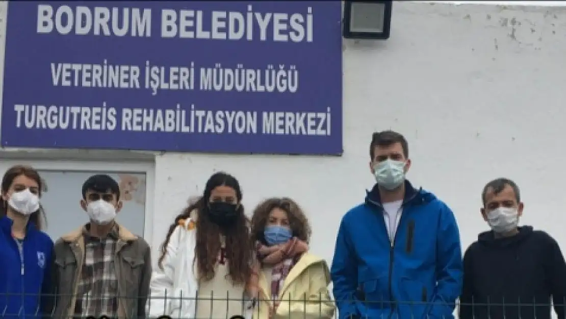 Tatlıtuğ Çiftinden Bodrum'daki Sokak Hayvanlarına Destek