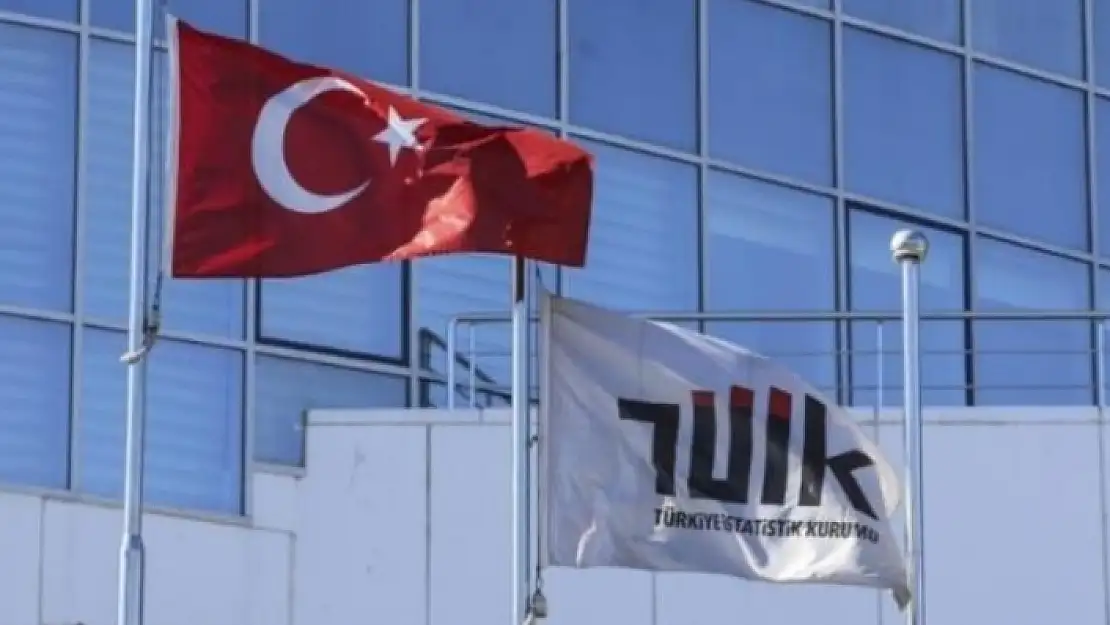 TÜİK, 2021'in En Çok Kazandıran Yatırım Aracı Belli Oldu