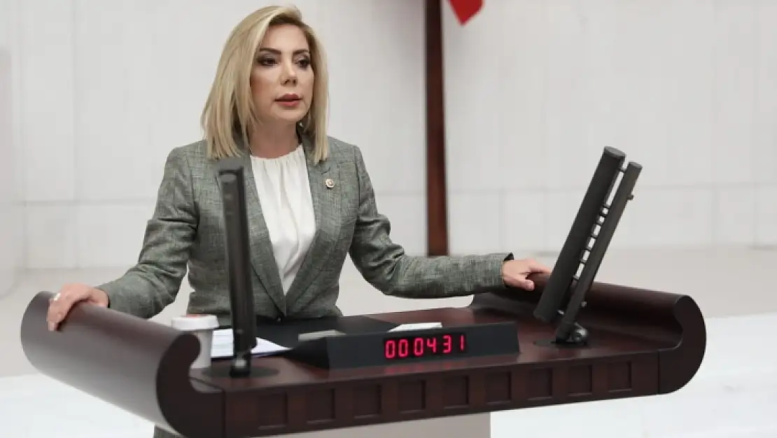 AK Parti Muğla Milletvekili Gökcan'dan 28 Şubat Açıklaması