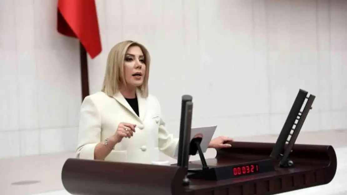 AK Parti Muğla Milletvekili Gökcan'dan Çimento Fabrikası Eleştirisi
