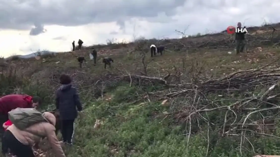 Bodrum'da 6 Bin Tohum Topunu Daha Toprakla Buluşturdular
