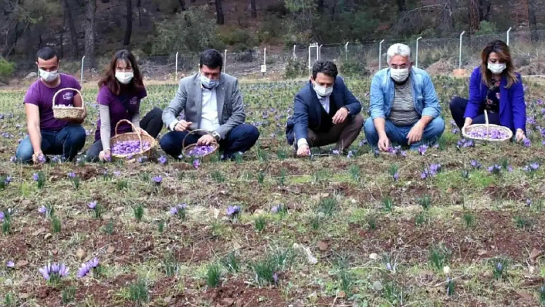 Endemik Türlerden Muğla Ekonomisine Büyük Katkı