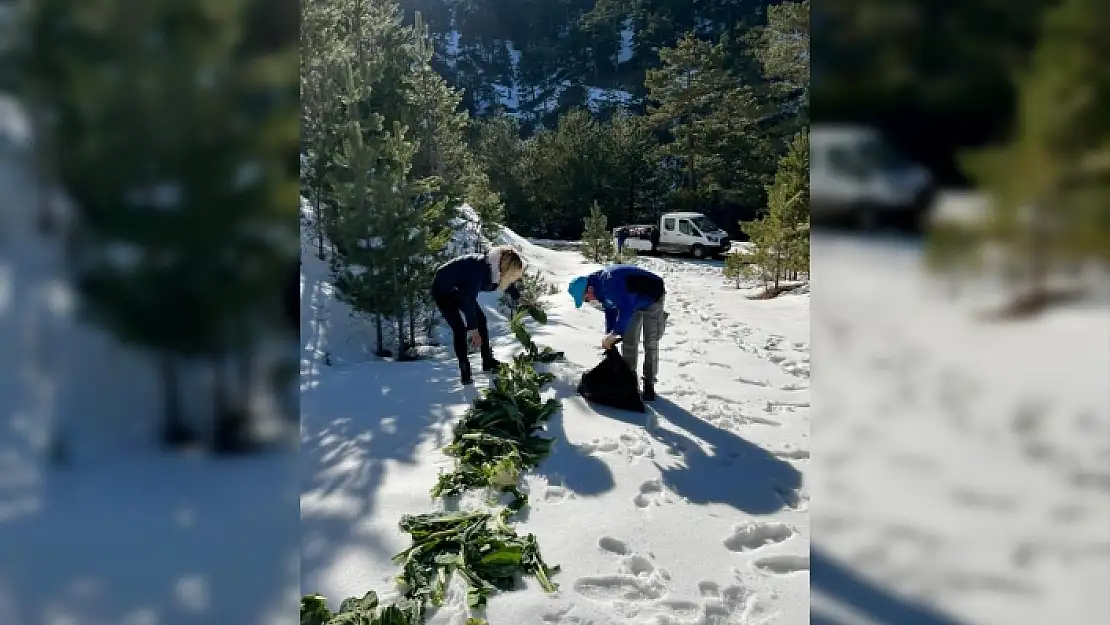 Fethiye'deki Yaban Hayvanları İçin Doğaya Yem Bırakıldı