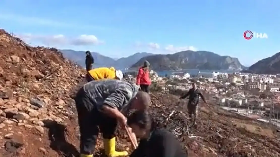 Marmaris'te Gönüllüler Fidan ve Tohum Dikimlerine Devam Ediyor