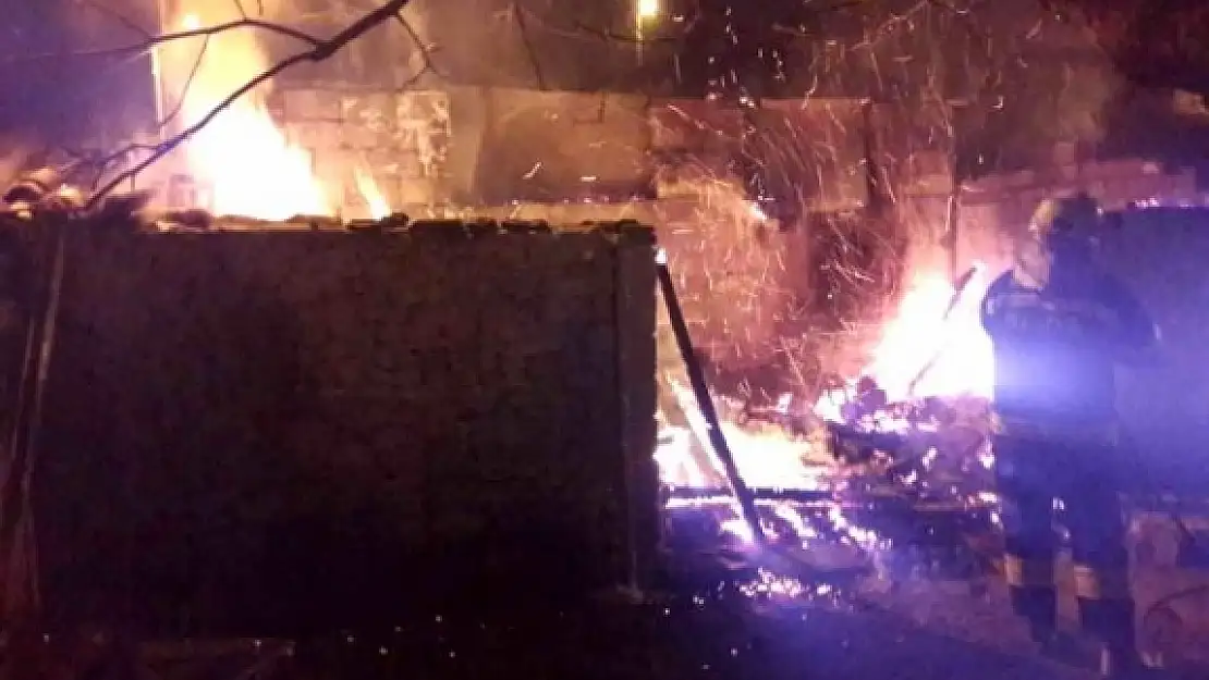 Milas'ta Odun Deposundaki Yangın Geceyi Aydınlattı