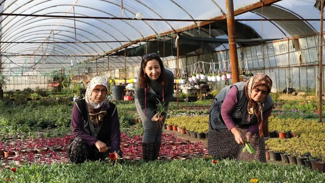 Muğla'da Üretilip 25 Şehre Pazarlanıyor