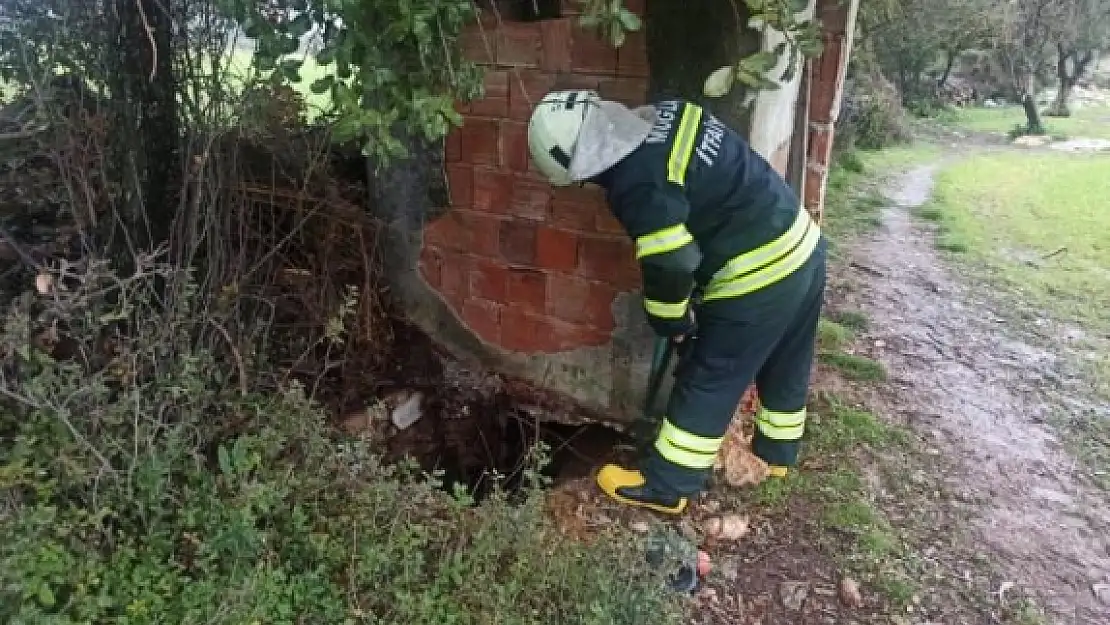 Seydikemer'de İtfaiye Ekipleri İneği Kurtardı