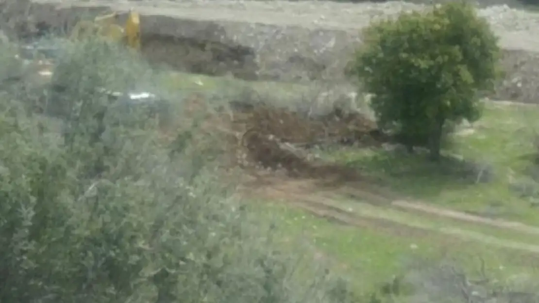 Akbelen Ormanında Zeytin Ağaçlarının Sökümü Başladı