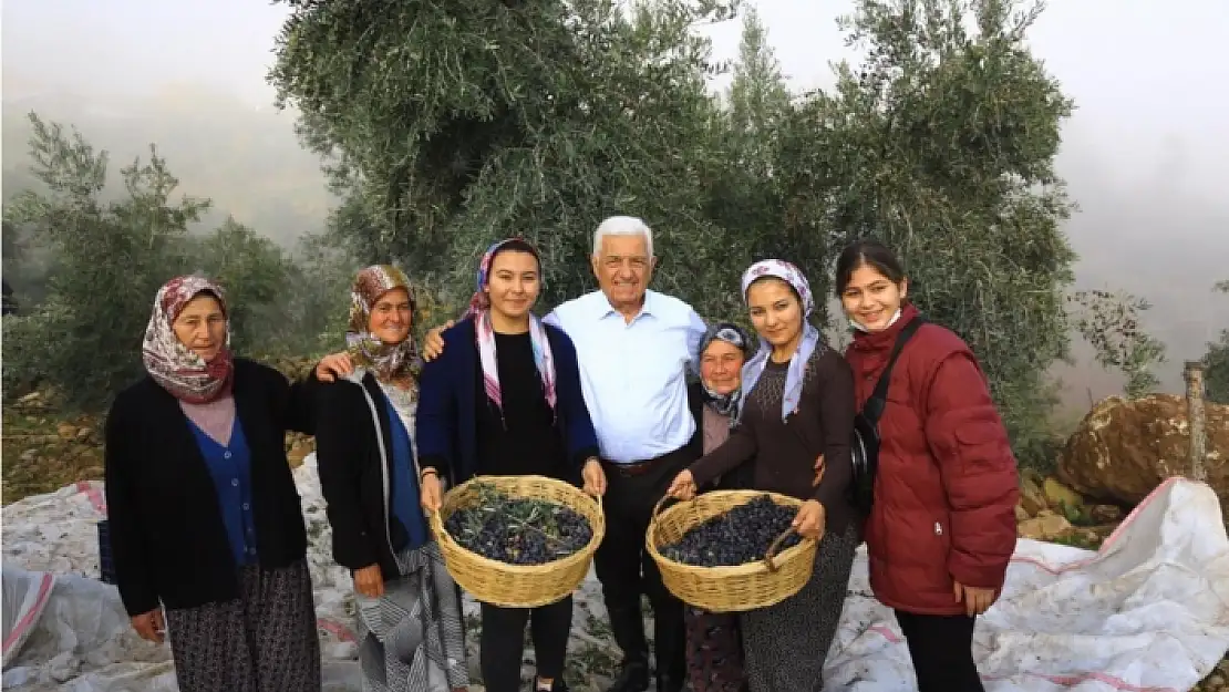 Başkan Gürün 'Zeytinliklerin Korunması İçin Hukuki Mücadele Başlatıyoruz'