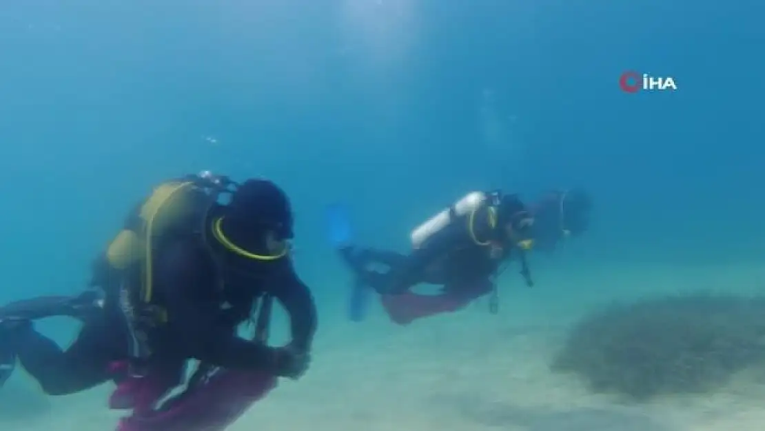 Bodrum'da Denizin Dibini Çöplüğe Çevirmişler