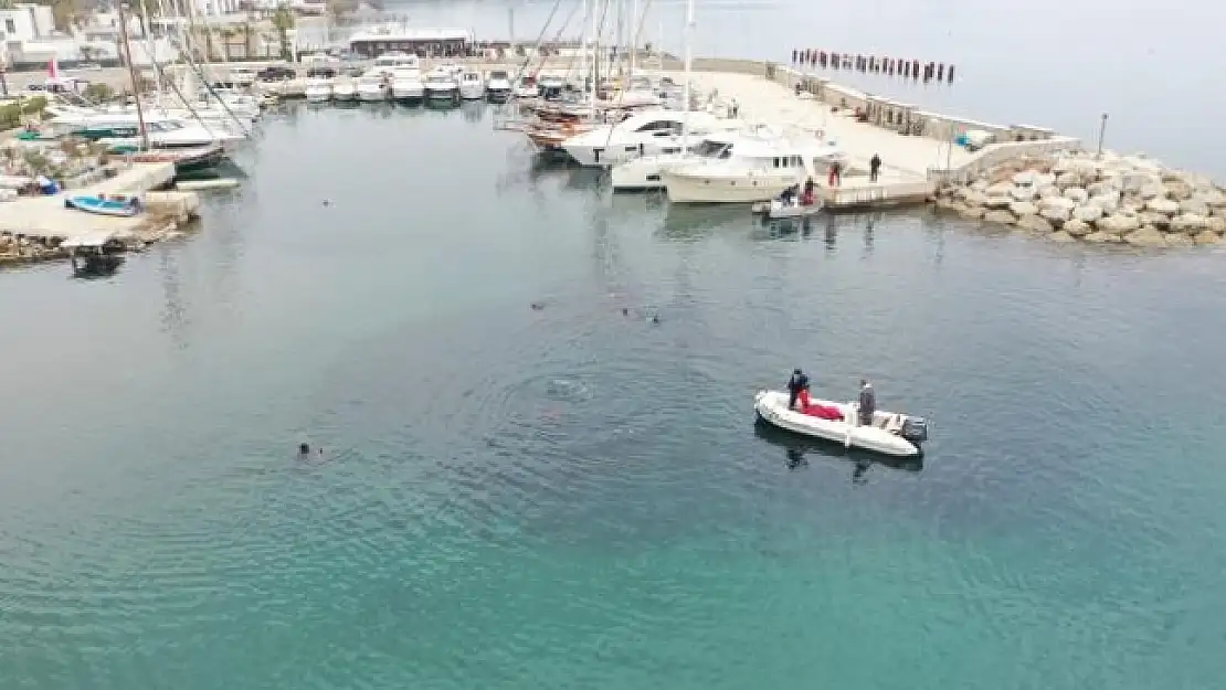 Bodrum'da Öğrenciler Kıyıyı, Dalgıçlar Denizi Temizledi