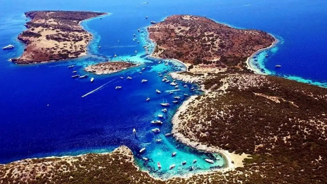 Bodrum'dan 'Zeytinlik Alanlar' Tepkisi