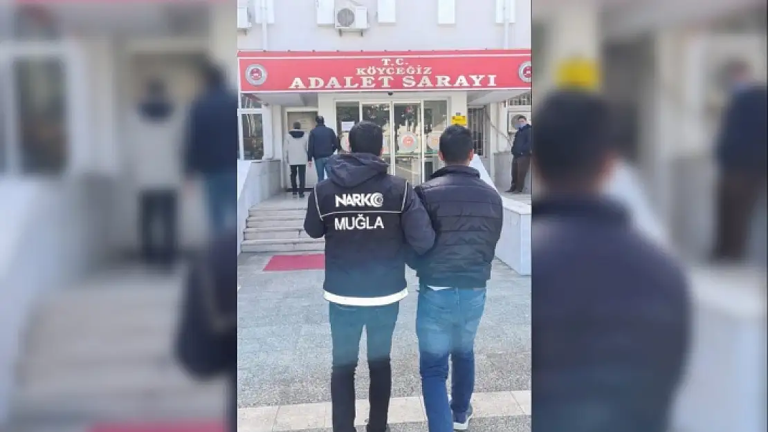 DALAMAN NARKOTİK, TORBACILARA GÖZ AÇTIRMIYOR