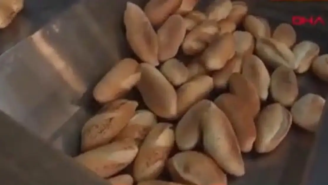 Ekmek ve Un Fiyatları Zamlanacak