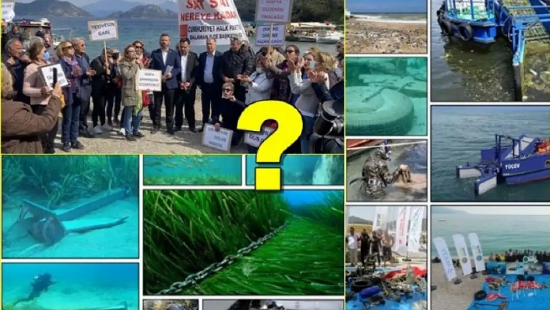 GÖCEK VE DALAMAN KOYLARI İHALELERİNDE AMAÇ SATMAK MI, KORUMAK MI?