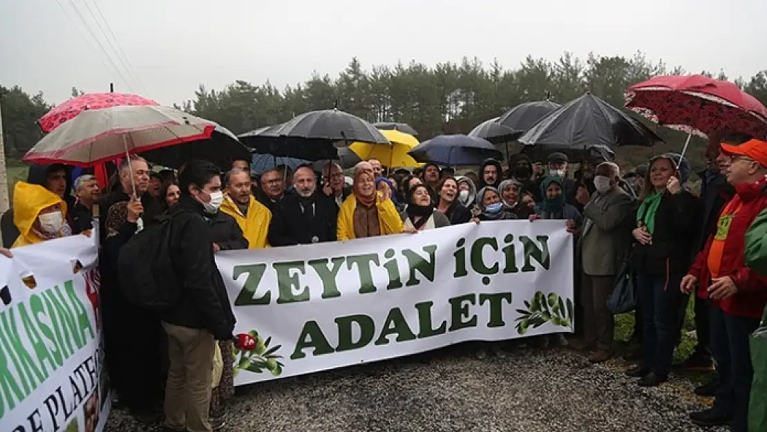 Milas'ta 'Zeytin için Adalet' Eylemi