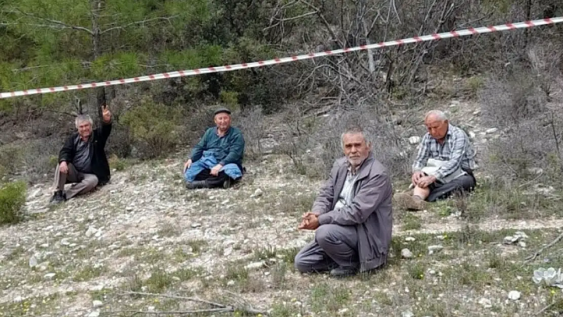 Milas'taki Asırlık Zeytinlerin Sökülmesi Köylüleri Ayaklandırdı