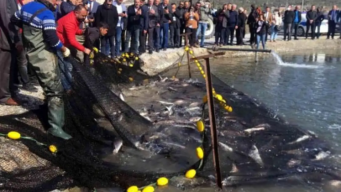 Milas'taki Balıkçılar Ağı Tarladan Çekti